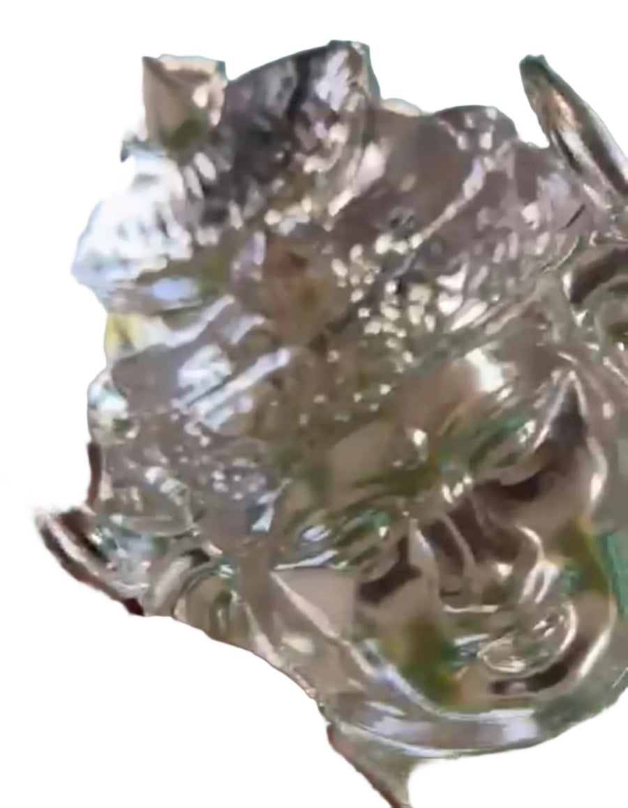 Varalakshmi Face silver